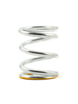 SERPENT RESSORT DE SAUVE SERVO HARD SER600330