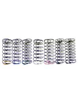 SERPENT SPRING SET RR (7X2) 600260