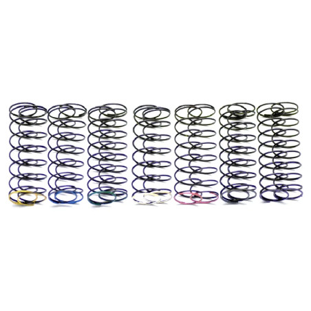 SERPENT SPRING SET RR (7X2) 600260