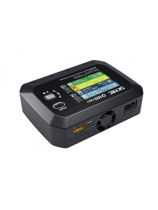 SKYRC Q100NEO AC/DC MULTI-FUNCTION SMART CHARGER SK-100223